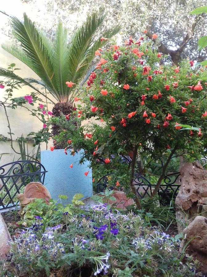 Locazioni Brevi La Rosaviola Guest Rooms تويلادا المظهر الخارجي الصورة